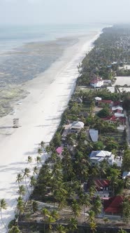 Vertical Video of Low Tide in the Ocean Near the Coast of Zanzibar Tanzania