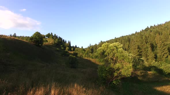 Nature . Karpatian Mountaines. Aerial Video