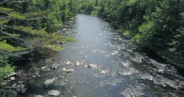 Flying between the trees along a river at Tobey Falls near Willimantic, Maine.