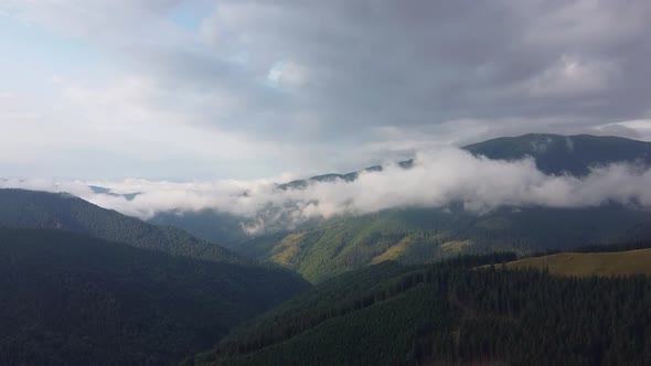 Mountains Covered With Forest, Aerial View