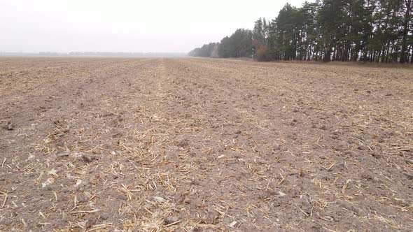 Land in a Plowed Field in Autumn