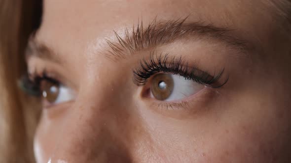 Close Up Macro View of Beautiful Green Female Woman Girl Student Eye with Long Eyelashes Smooth