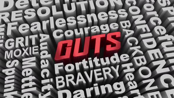 Guts Courage Bravery Mettle Fearless Qualities Words 3d Animation