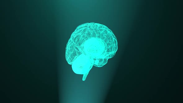 Digital Brain Hud Hologram alt