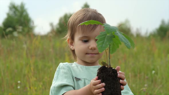 Little Girl Holding an Oak Tree Sprout in Her Hands