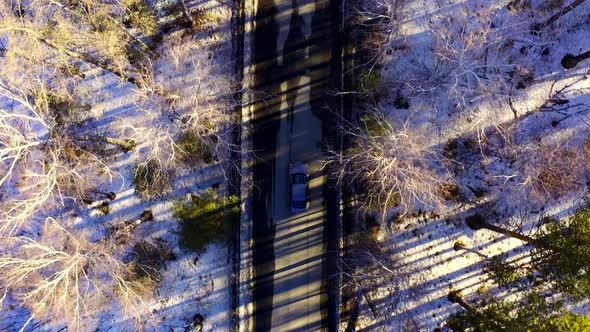 Aerial View of The Car that Rides on A Forest Road Among the Trees