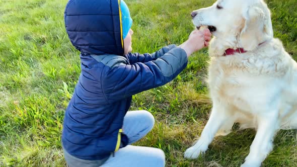 Beauty of Slow Motion. a Little Boy Plays with a Dog in Nature, Takes a Stick From Her.