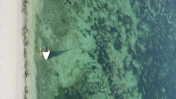 Vertical Video Boats in the Ocean Near the Coast of Zanzibar Tanzania Aerial View