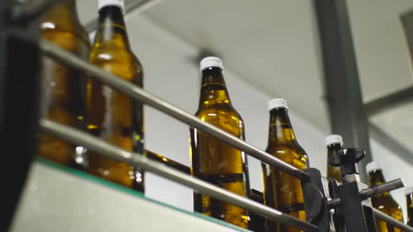 Brown glass water bottles on a conveyor belt. Bottom view