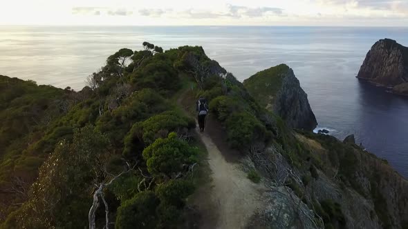 Scenic hiking trail in New Zealand