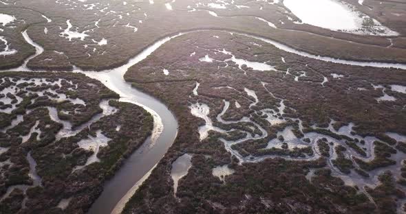 Bottom of a Pond Without Water and Abstract Curves of the Terrain