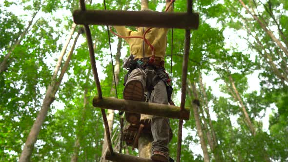 Little Boy in a Safety Harness Climbs on a Route in Treetops in a Forest Adventure Park