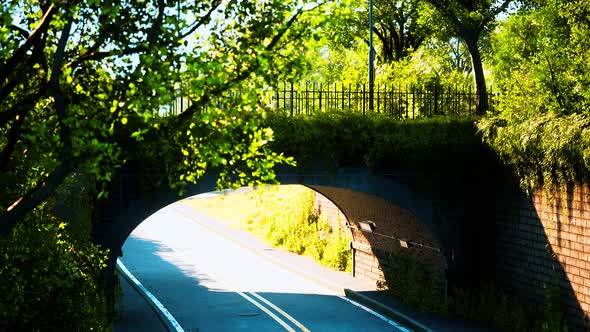 Arch Bridge with Living Bush Branches in Park