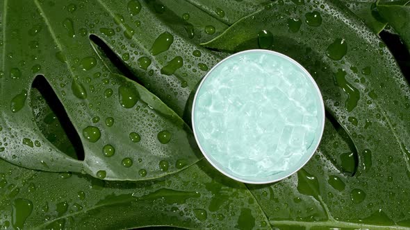 Blue Cosmetic Cream with Rotation on Background of Tropical Leaves Monstera