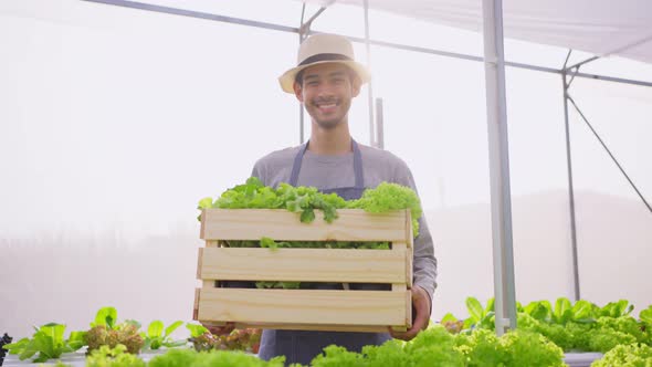 Portrait of Asian farmer male carrying box of vegetables green salad in hydroponic greenhouse farm