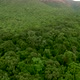 Aerial View of Green Forest. - VideoHive Item for Sale