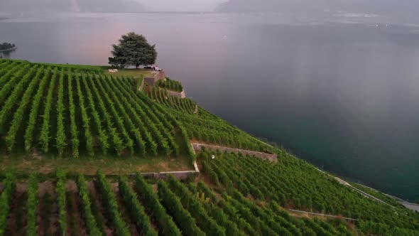  Lake Geneva Canton of Vaud Switzerland