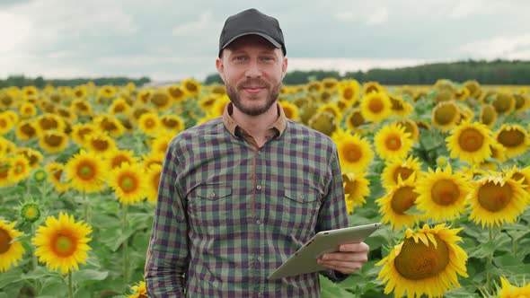 Cheerful Man Farmer Stands in a Field of Sunflowers and Smile Ecologist Man Investigating Plants and