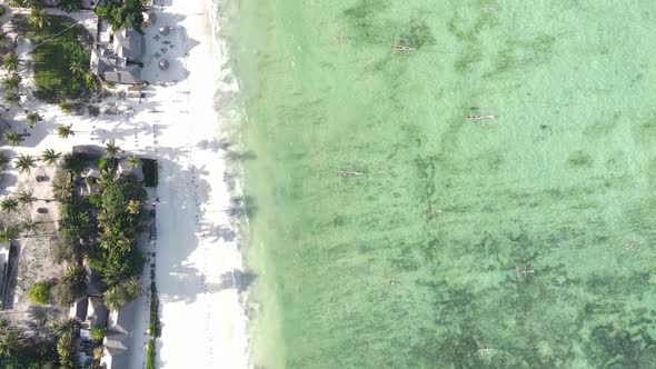 Vertical Video of the Ocean Near the Coast of Zanzibar Tanzania Aerial View