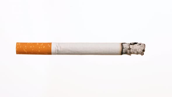 Timelapse video of one cigarette burning against a white background.