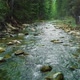 Mountain River with Low Rapids Flows Inside Mysterious Forest - VideoHive Item for Sale