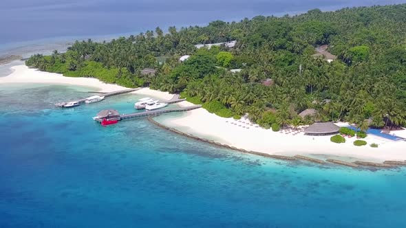 Aerial drone abstract of island beach wildlife by lagoon and sand background