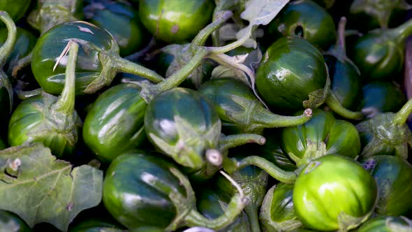 Solanum gilo, Scarlet eggplant, for sale at the free market, panoramic plan