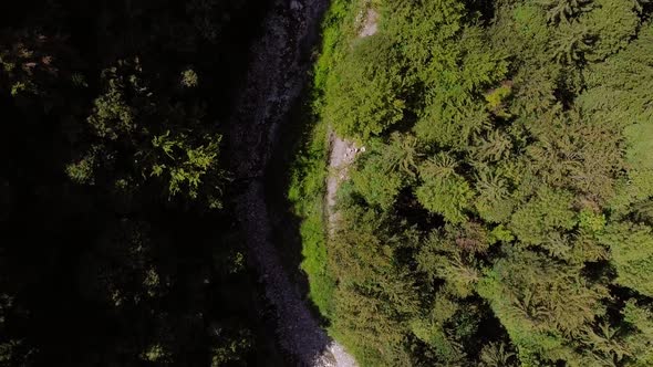 Flight over a stream in middle of forest in Switzerland