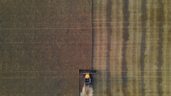 Still aerial vertical drone view of a modern combine harvester reaping wheat seeds in Alberta, Canad