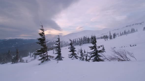 Mountain morning, ski resort Dragobrat, Carpathians, Ukraine