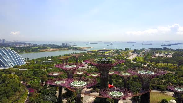 Aerial View of The Supertree Grove at Gardens by the Bay in Singapore