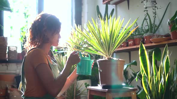 African Woman Adds Water to Large Pot Plant in Sunlight Spbd