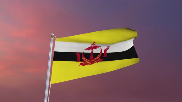 Flag Of Brunei Waving 4k