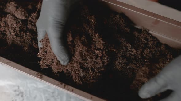 Close Up Womans Hands Putting Ground or Soil Into the Pot for Planting Plants on the Balcony