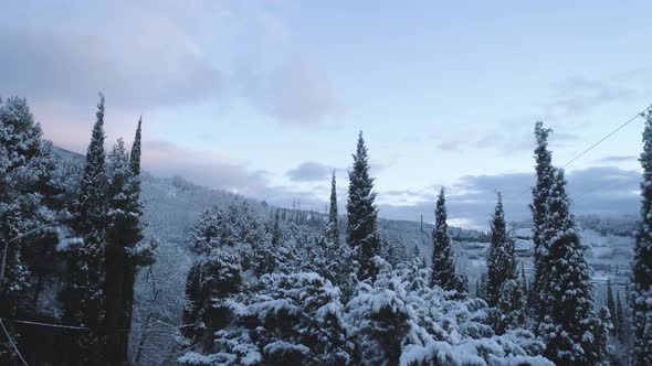 Top View Of The Road In Snowy Forest