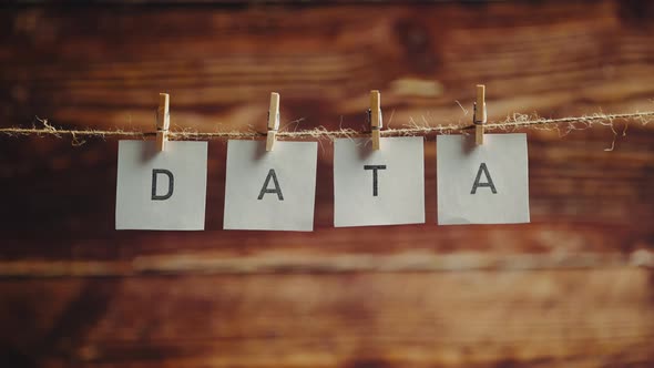 The Word Data