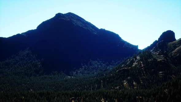 Panorama of Cone Forest at Mountains