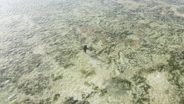 Man Walks Along the Beach at Low Tide in Zanzibar Tanzania Slow Motion