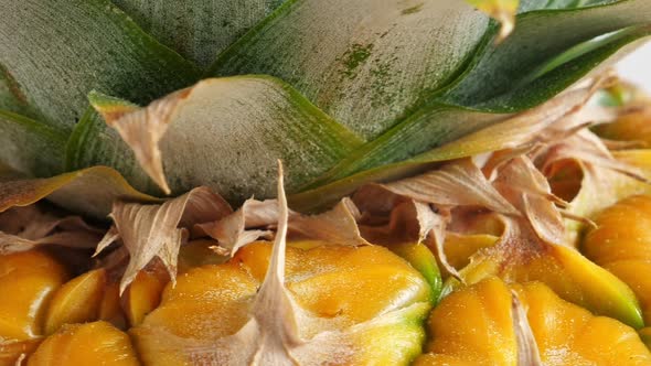 Pineapple Fruit Closeup on White Background