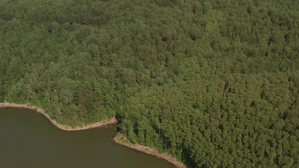 River and Forest, Shot From a Quadcopter, Top View of a Thin River and Fields Around It