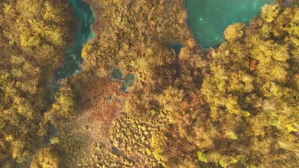 Flying over an autumn landscape