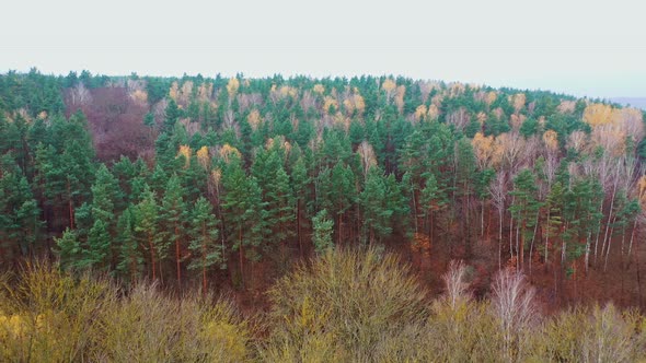 Beautiful natural scenery. Autumn forest aerial drone view