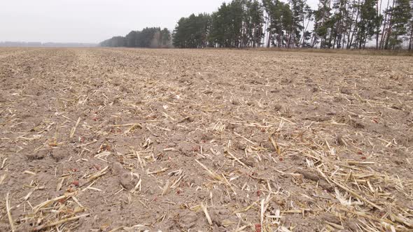 Land in a Plowed Field in Autumn