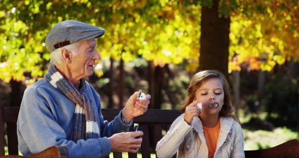 Grandfather and granddaughter doing soap bubbles