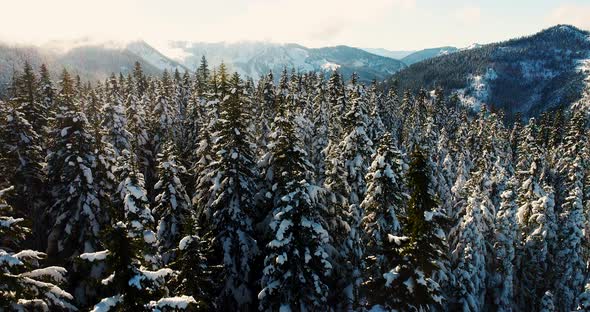 Aerial Flyover Stevens Pass Washington Usa View Of Ski Area Mountain Highway