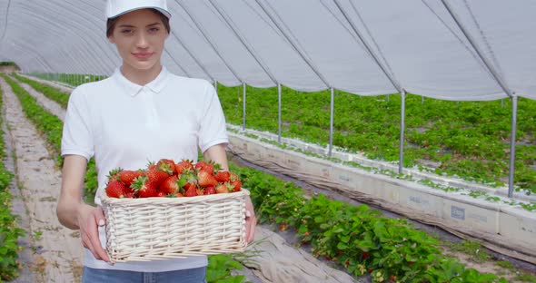 Woman Standing at Greenhouse with Basket of Strawberries