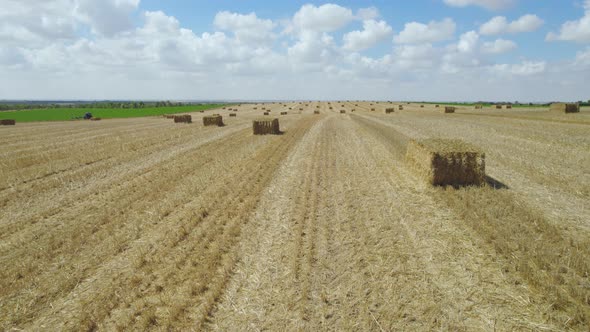 Pan Shot of Straw Field at Sdot Negev , Israel