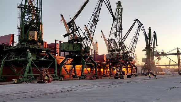 Cargo Ship Bulk Carrier is Loaded with Grain of Wheat in Port at Sunset