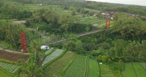 POI drone shot of metal suspension bridge build over valley with river on the bottom and surrounded