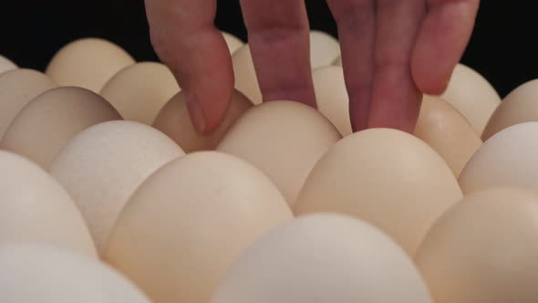 Fresh Large Chicken Eggs Rotate on a Stand